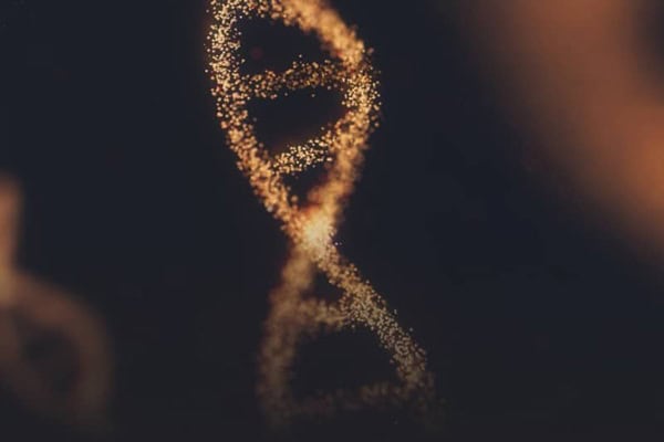 Our philosophy is the DNA of PROXORA.